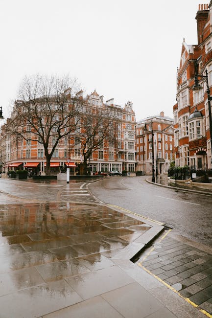 A wet, reflective pavement on a quiet, curved street in an urban residential area featuring tall, red-brick buildings with white window frames and decorative brickwork. Leafless trees line the sidewalk, and the overcast sky creates diffused lighting. In the background, there are multi-storey buildings with intricate architectural details, some with bay windows and small balconies. The street is devoid of vehicles or pedestrians, and the scene suggests a calm, early morning or post-rain setting. This environment captures the typical housing and streetscape of a central London neighbourhood, relevant to house removals and furniture transport services provided by Man with Van Mayfair, especially during home relocation or packing and moving processes.